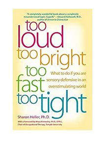Front cover for "Too Loud, Too Bright, Too Fast, Too Tight" by Sharon Heller.
