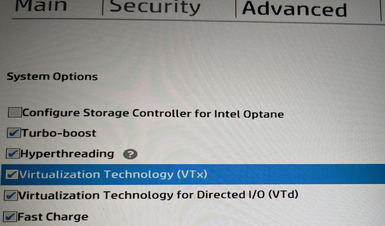 Photograph showing the options described in the text above in HP UEFI.