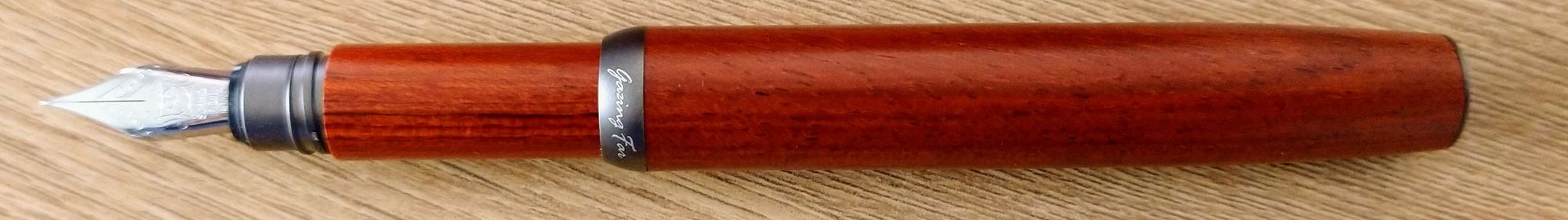 Review: Gazing Far tmX fountain pen