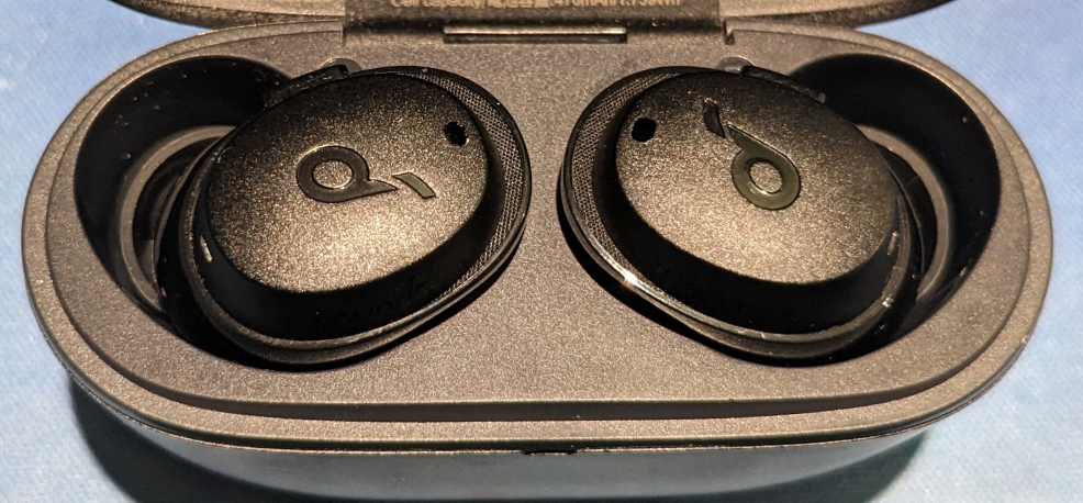Photograph of two black earbuds in their storage case.